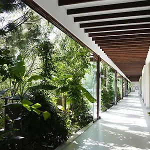 Hotel The Lifeco Bodrum Well-being Detox Center And Vegan (adults Only)